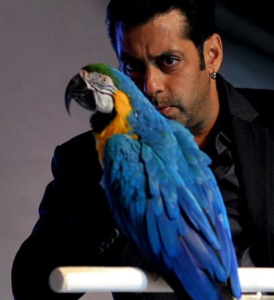 Salman Khan during promotions of Bigg Boss 6 - Pic 1 2